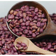 Samll Red Kidney Bean/bean China